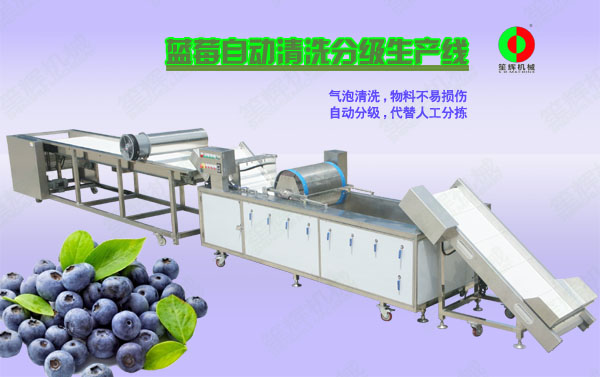 武冈蓝莓/蔬果全自动清洗分级生产线